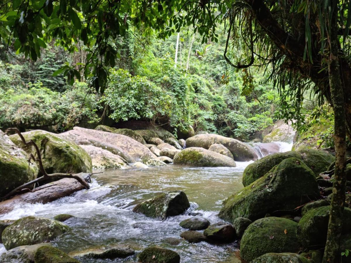 Recanto Da Margo 1, Casa Com Acesso A Cachoeira 파라티 외부 사진