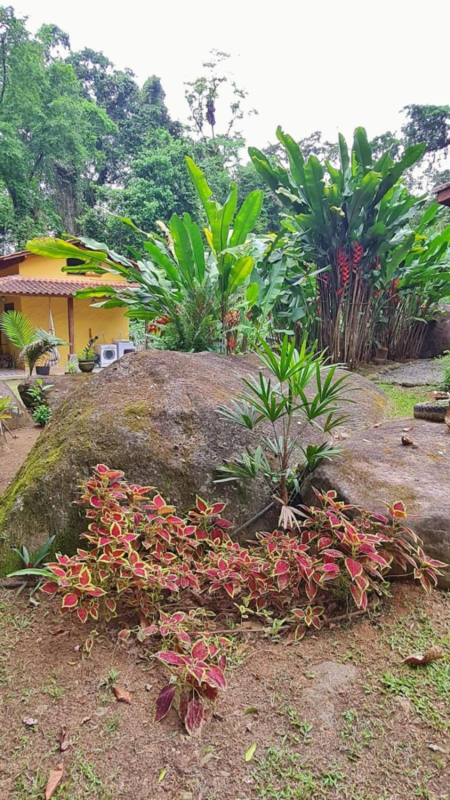 Recanto Da Margo 1, Casa Com Acesso A Cachoeira 파라티 외부 사진