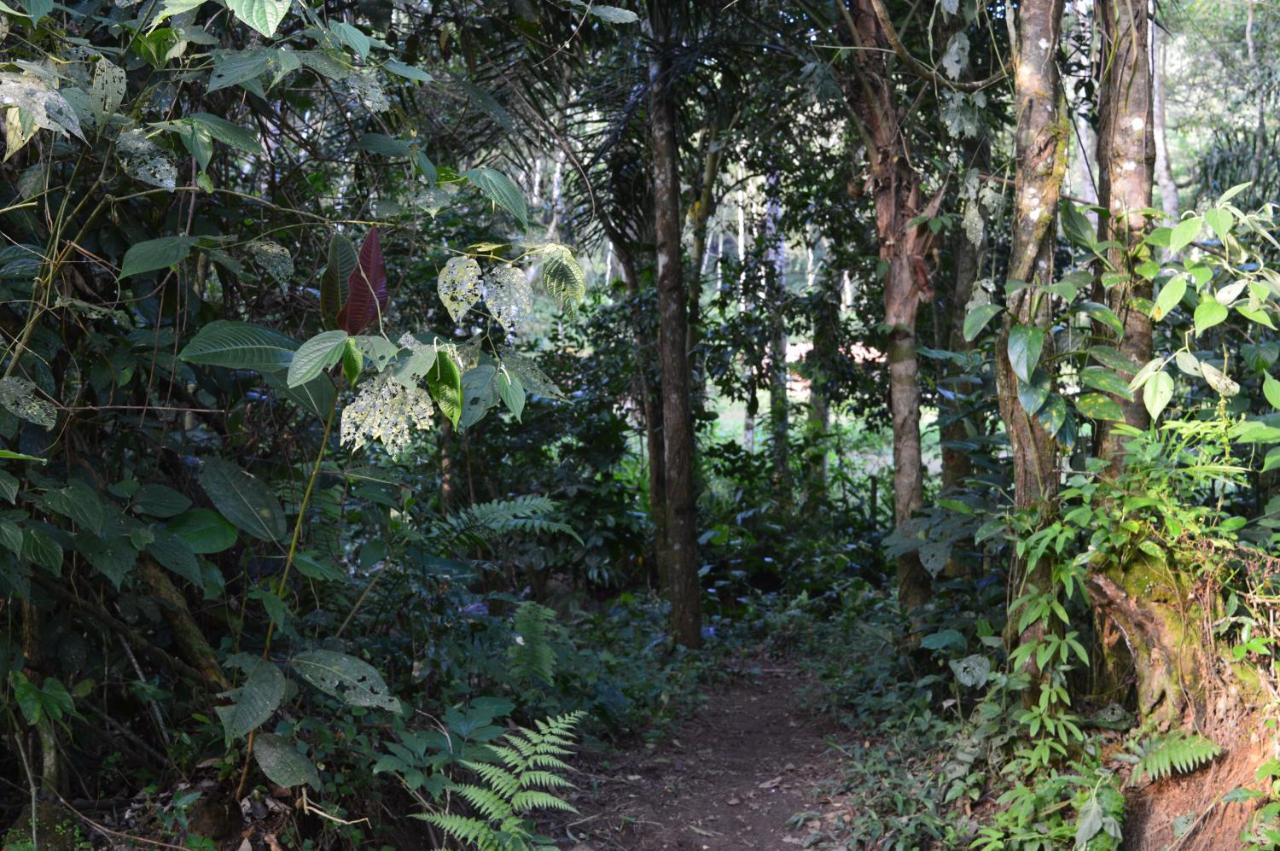 Recanto Da Margo 1, Casa Com Acesso A Cachoeira 파라티 외부 사진