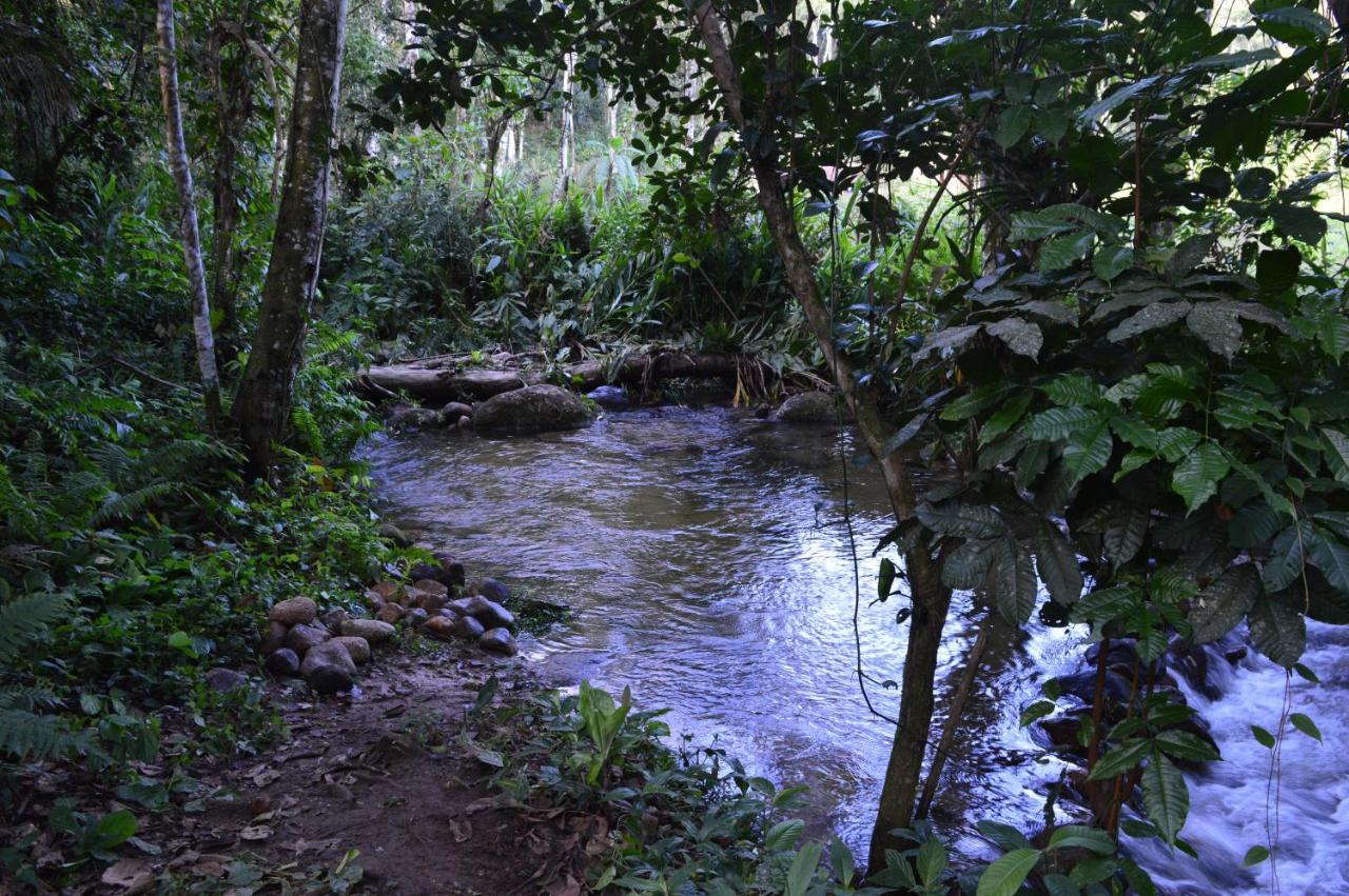 Recanto Da Margo 1, Casa Com Acesso A Cachoeira 파라티 외부 사진